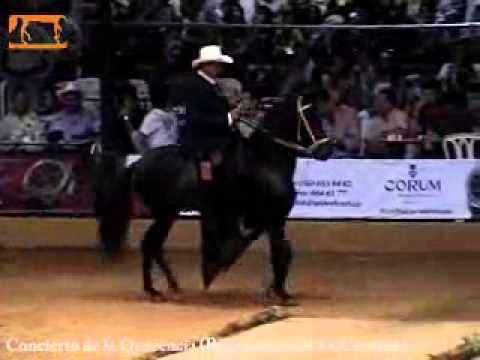 Concierto de la Querencia Copa America 2007