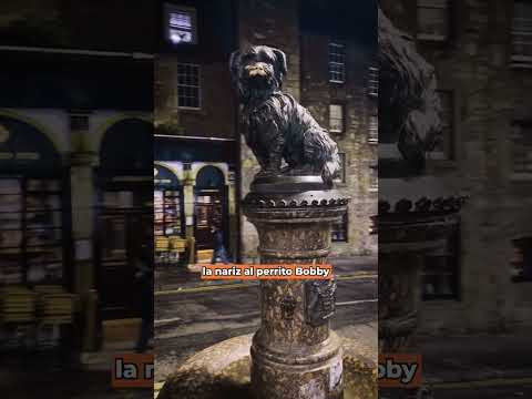 De noche al CEMENTERIO?🧛🏻‍♂️