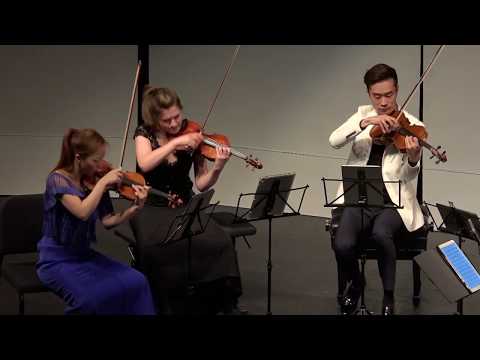 Tchaikovsky - "Souvenir de Florence" excerpt