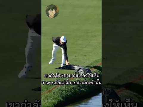 ทุกคนวิ่งหนี แต่เขามองจระเข้เป็นแค่จิ้งจก #shorts #ไวรัล #คลายเครียด