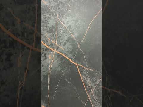 фото плитка керамогранит sandra black olive 120х60см 0