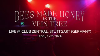 Bees Made Honey in the Vein Tree