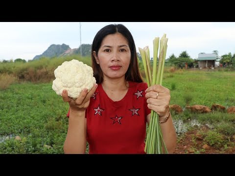 download lagu mp3 mp4 Brassica Recipes, download lagu Brassica Recipes gratis, unduh video klip Brassica Recipes