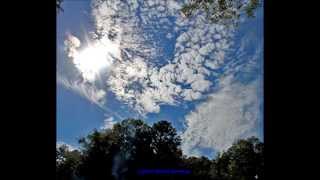 Lacy J.  Dalton - "Everybody Makes Mistakes"