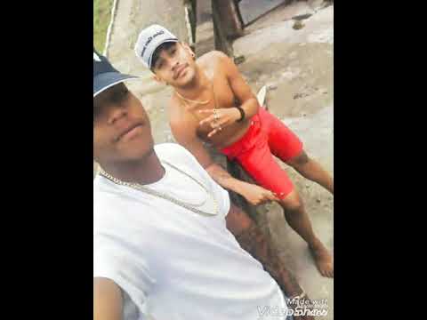 Zoi de gato e Dedê boladão _vai sentado música nova 2017