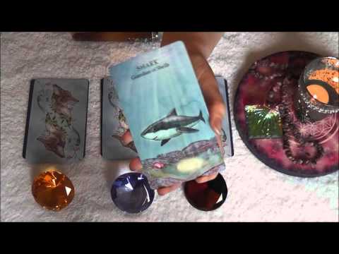 Wochenorakel Engel Orakel 08.02. - 14.02.2016