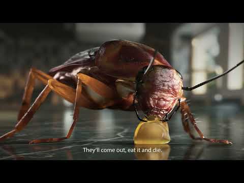 Godrej HIT Anti Roach Gel – Kill cockroaches in their nest | HIT India English| 10s