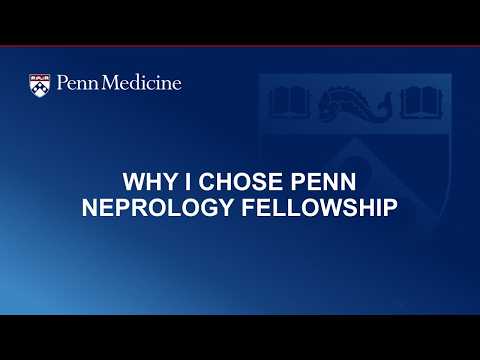 Watch video titled Why Penn on YouTube