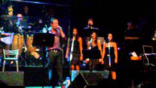 Mondo Cane - 20Km al Giorno