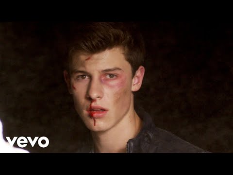 Shawn Mendes - Stitches (Official Music Video)