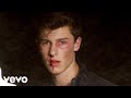 Shawn Mendes - Stitches (Official Video) 