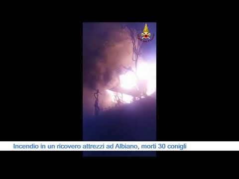 Incendio ad Albiano, morti 30 conigli