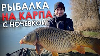 Прикормка gf salapin фидер карп люкс 1. 000кг