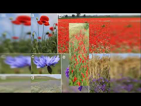 cryw1tch - cry w/ 7Nightz prod. y7xnxx