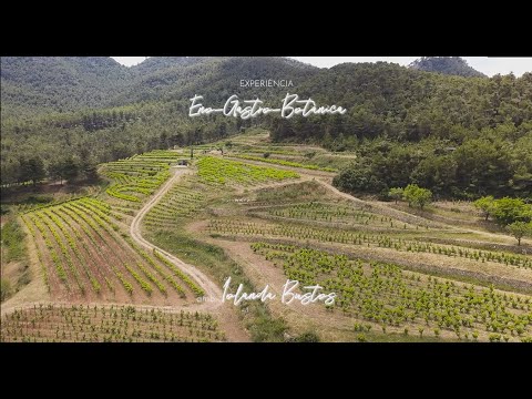 Eno – Gastro – Botanical experience at Vinyes Domenech