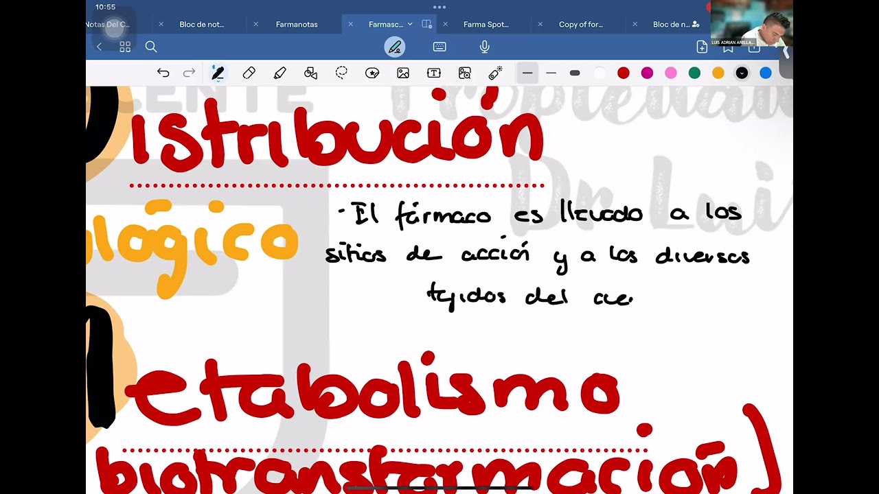 5  Farmacocinética  Transferencia y liberación de fármacos