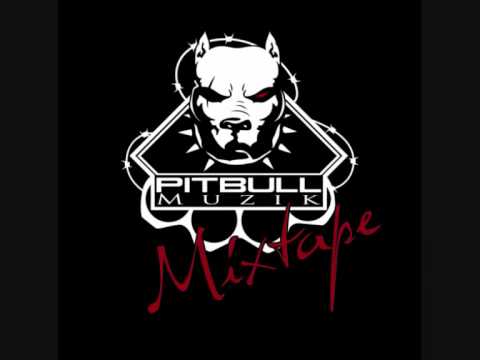 DJ Turbo Freake-Teletubbi