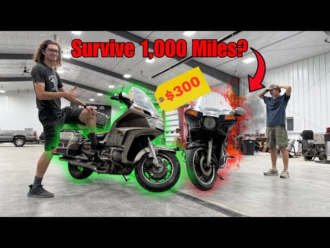 We Bought $500 Goldwings… Can They Survive 1000 Miles?