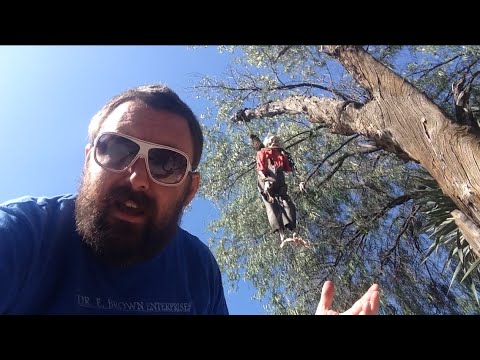 TDW 1178 - Pre - Knotts Scary Farm HALLOWEEN HAUNT