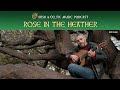 Rose in the Heather #645