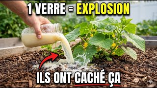 Les Légumes Vont Pousser Immédiatement et Tripler Votre Récolte — Arrosez Une Fois Avec Ceci !