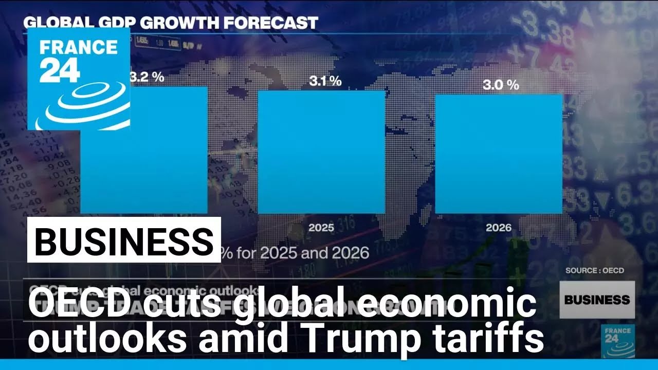 OECD cuts global economic outlooks amid Trump trade tariffs • FRANCE 24 English