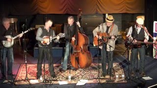 Seldom Scene - Through The Bottom Of The Glass