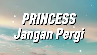 Download lagu Princess - Jangan Pergi (Lirik) mp3