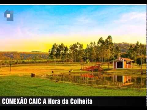 Conexão Caic - A hora da colheita Lyric Vídeo (Prod. Yondo beat)