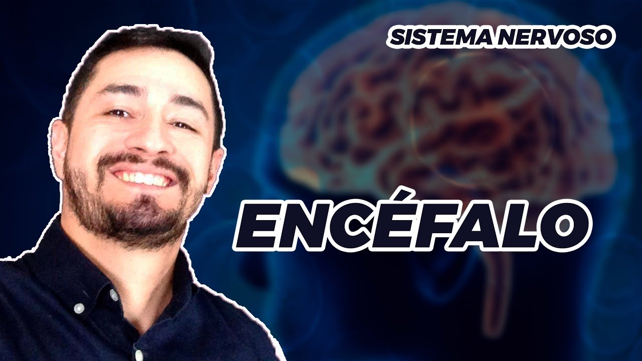 SISTEMA NERVOSO - ENCÉFALO