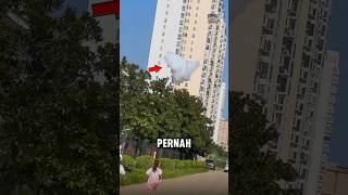 Download lagu Kenapa awan ini bisa turun dari langit😨 mp3