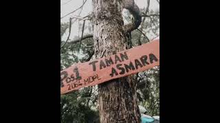 Download lagu story wa pendaki puncak gunung sumbing mp3