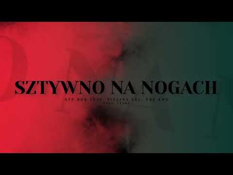 STP RDK - SZTYWNO NA NOGACH ft. ZIELINA LDL, Ś.P. PRS KWŚ (PROD. CZAHA)