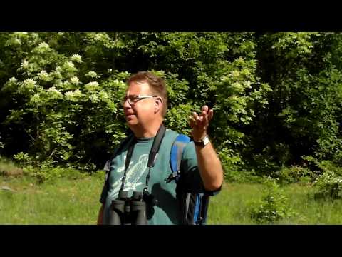 Badacsony - Agárkosbor Túra - Bazalt-Bazanit, macskakő - 400 ember dolgozott itt ....