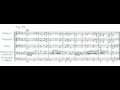 Haydn Symphony No.72 - György Schweigert Double bass solo