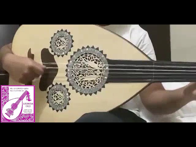 اوتار ليونيدا ابو حبة دوزان شرقي 10 او 12 وتر