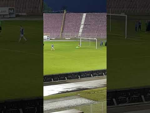 A.C.S Fortuna Becicherecu Mic - C.S Timisul Sag