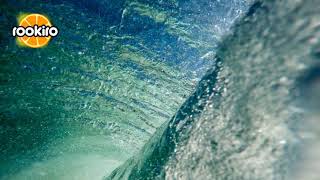 Goldfish - Absolute Power