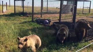 Freedom!!!!! finally