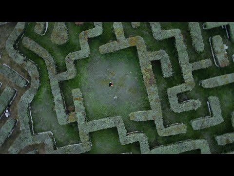 Sonovic, T’Jean - Patience (Official Video)