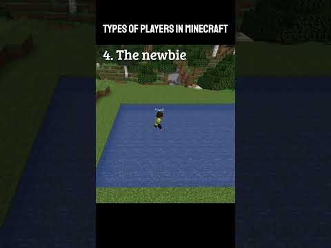 Types of players in minecraft | Fingo | #gaming