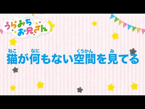 Video thumbnail for 猫が何もない空間を見てる (Neko ga nanimonai kūkan o mi teru)