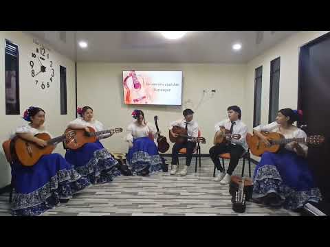 PEQUEÑA SUITE ANDINA grupo 6 cuerdas de Turmequé