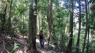 preview picture of video 'Jungle trekking and tubing | Gunung Leuser National Park Bukit Lawang | Sumatra Indonesia'