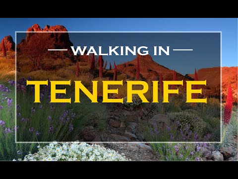 Tenerife Travel Guide 2023 | Amazing Places