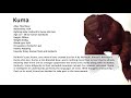 Tekken 2 Kuma Profile