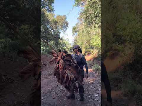 #baraodecocais #minasgerais #trilhasetravessias