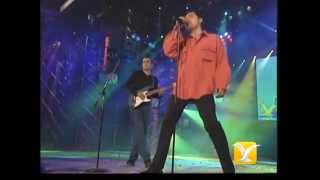 Elefante, De la Noche a la Mañana, Festival de Viña 2001, Competencia Internacional