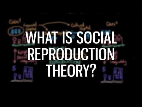social_reproduction_theory | Vibepedia