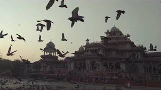 preview picture of video 'Albert Hall Museum Attraction of Jaipur Rajasthan'